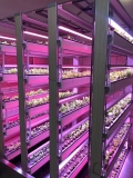 George Read Middle School Hydroponics lab